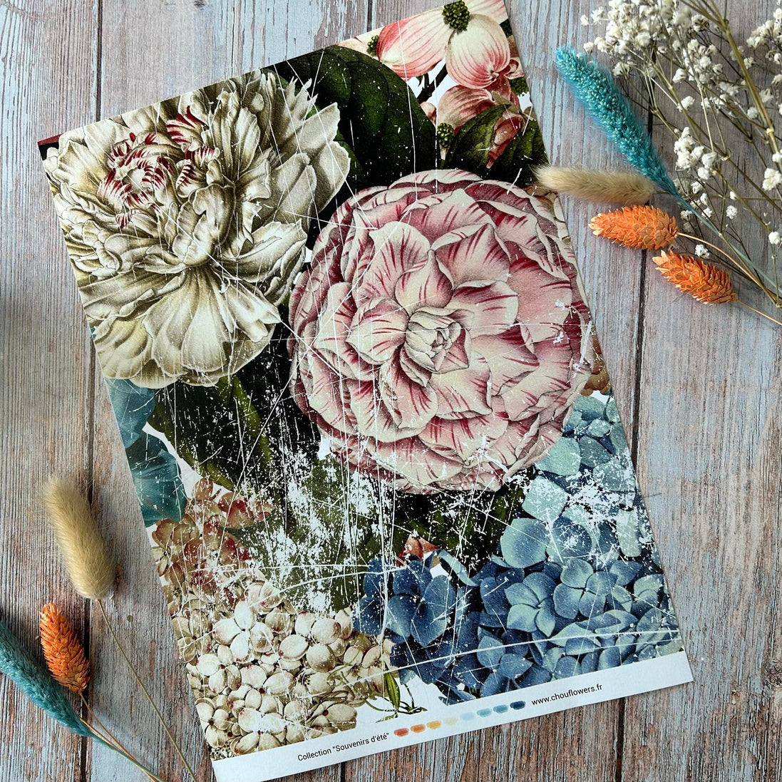 SET OF CARDS - JUNK SOUVENIRS D'ETE - BRE139 - CHOU &amp; FLOWERS