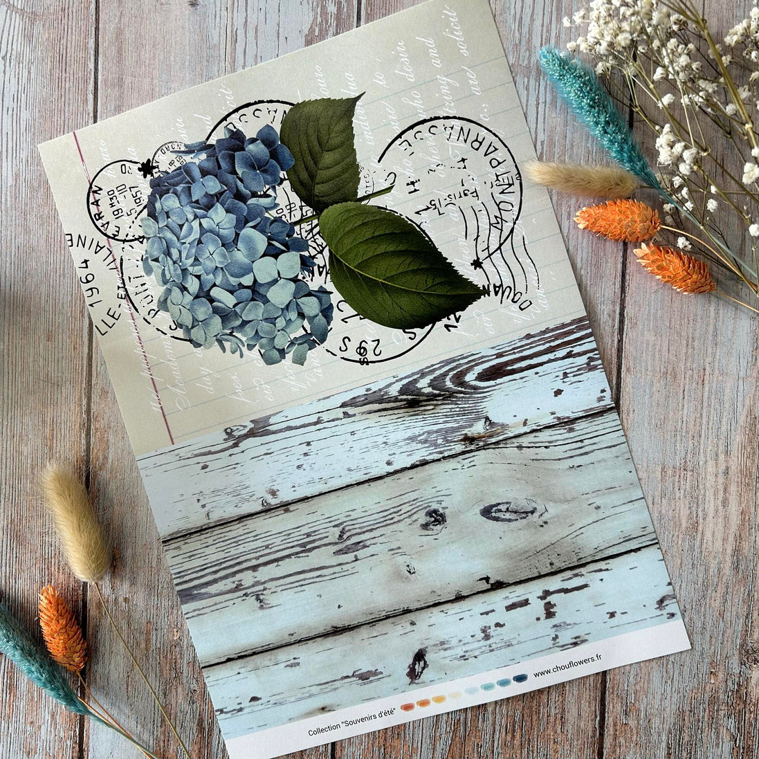 SET OF CARDS - JUNK SOUVENIRS D'ETE - BRE139 - CHOU &amp; FLOWERS