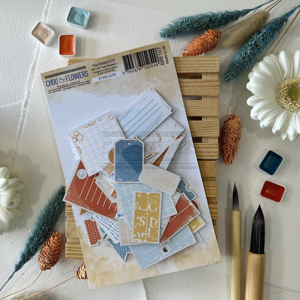 SET DIE-CUTS 