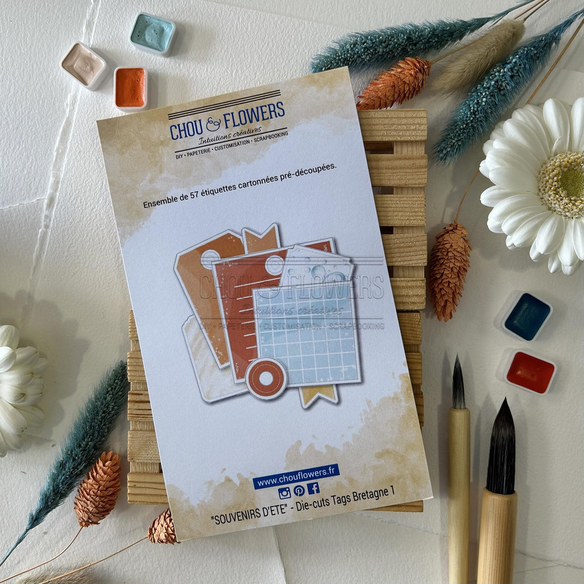 SET DIE-CUTS 