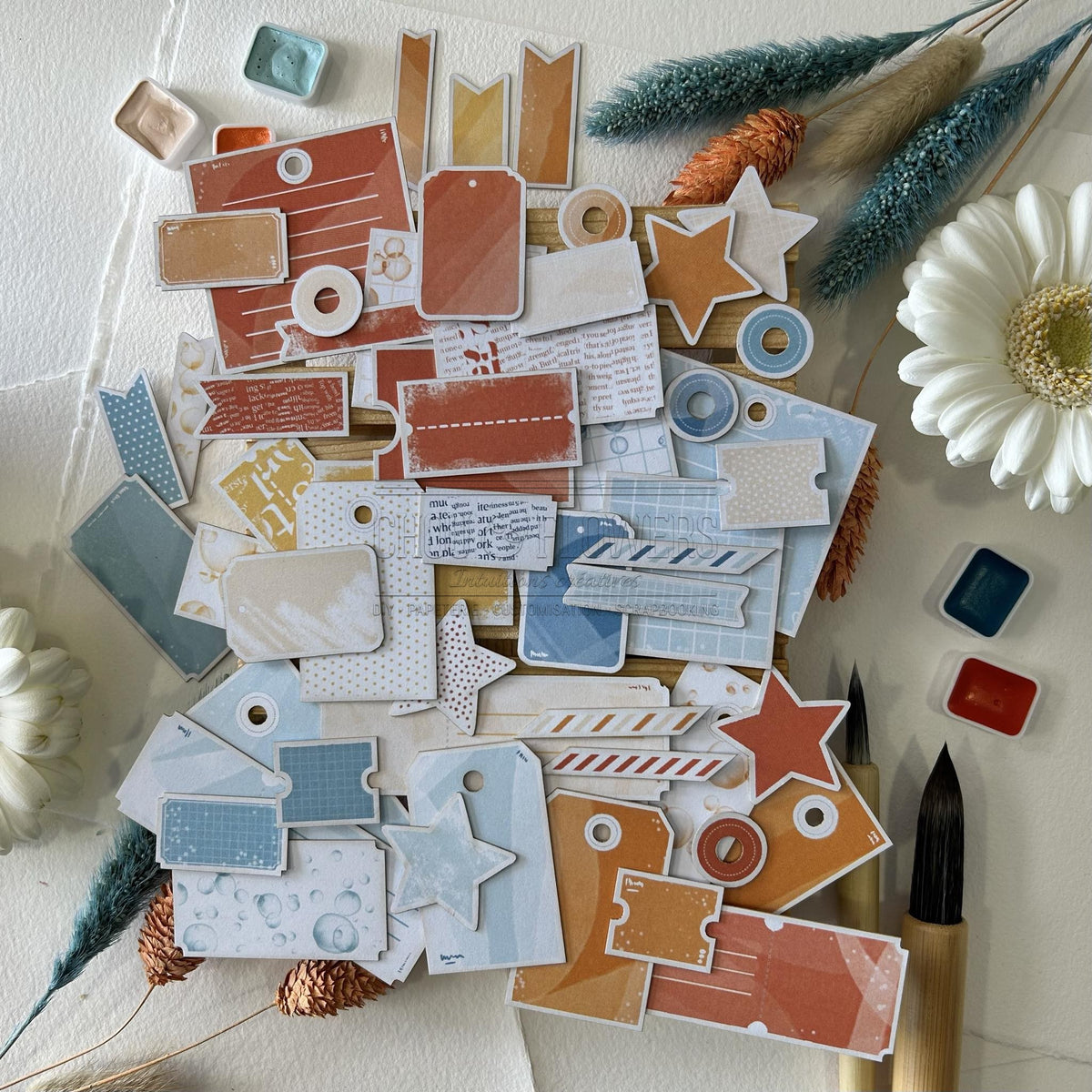 SET DIE-CUTS 