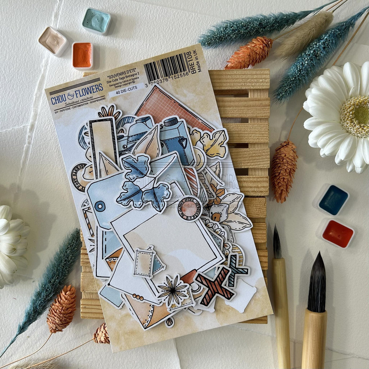 SET DIE-CUTS 