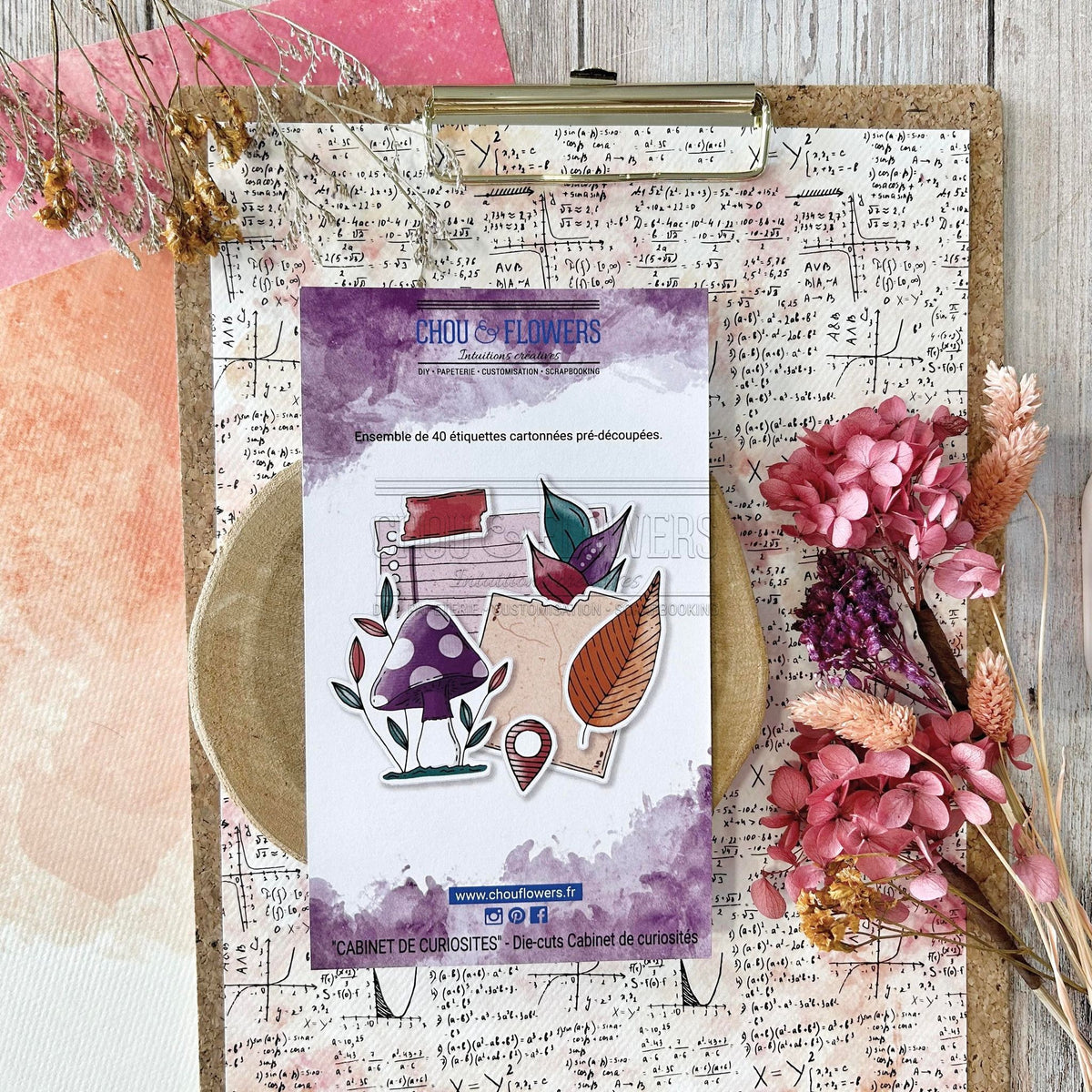 SET DIE-CUTS CABINET DE CURIOSITES - CAB105- CHOU & FLOWERS