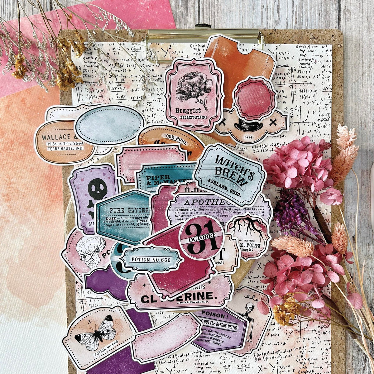 SET DIE-CUTS APOTHICAIRE LABEL - CAB106- CHOU & FLOWERS