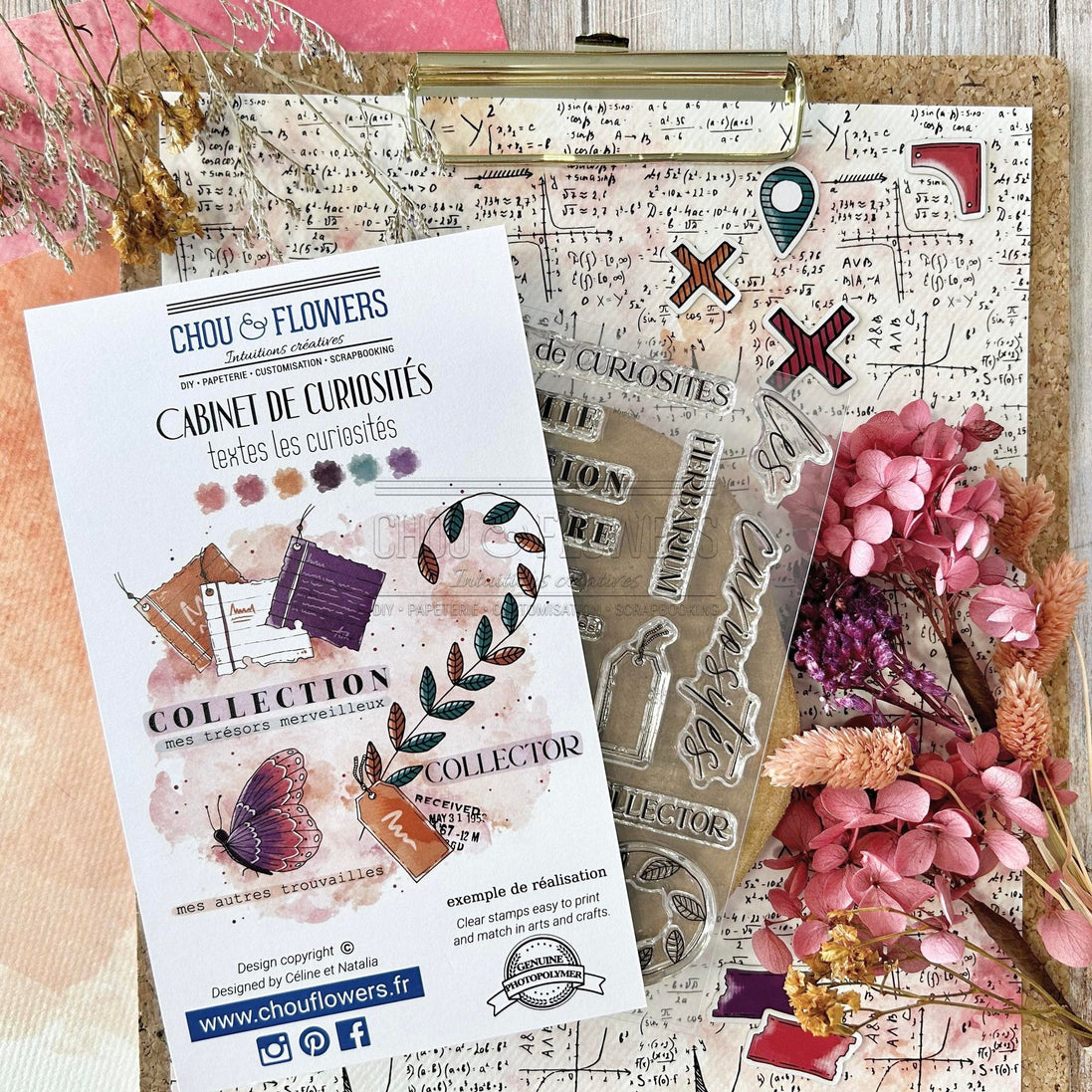 CLEAR STAMP SET - TEXTE LES CURIOSITES - CAB119 - CHOU &amp; FLOWERS