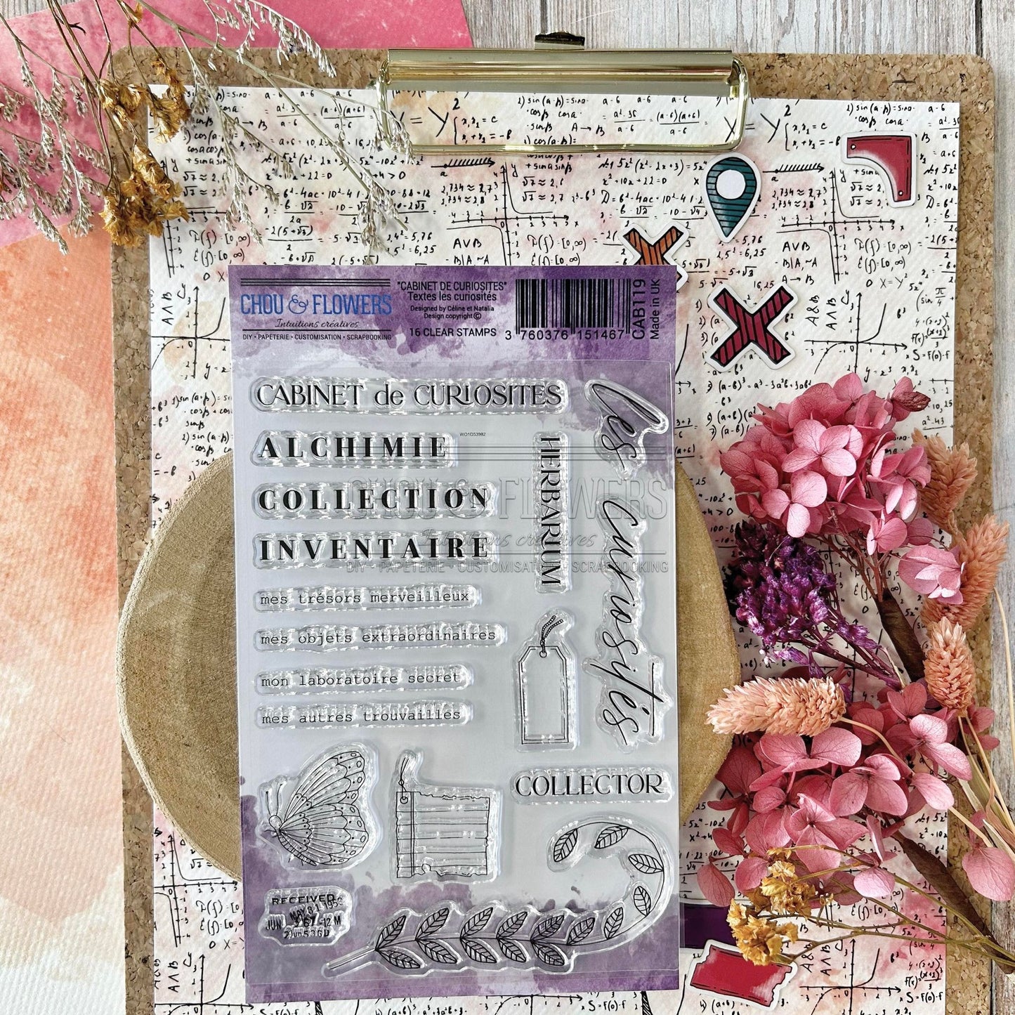 SET TIMBRI CLEAR - TEXTE LES CURIOSITES - CAB119 - CHOU & FLOWERS