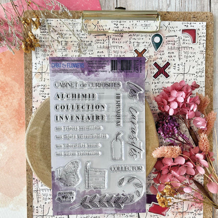 CLEAR STAMP SET - TEXTE LES CURIOSITES - CAB119 - CHOU &amp; FLOWERS