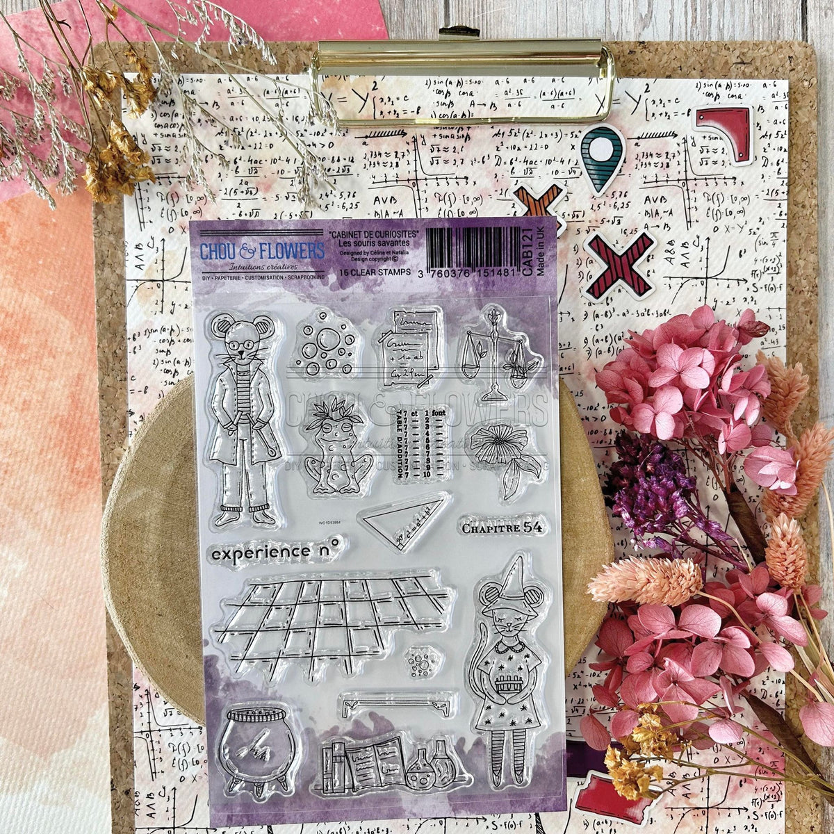 SET TIMBRI CLEAR - LES SOURIS SAVANTES - CAB121 - CHOU & FLOWERS