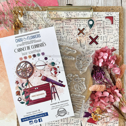 CLEAR STAMP SET - BAZAR SCIENTIPHIQUE - CAB122 - CHOU &amp; FLOWERS