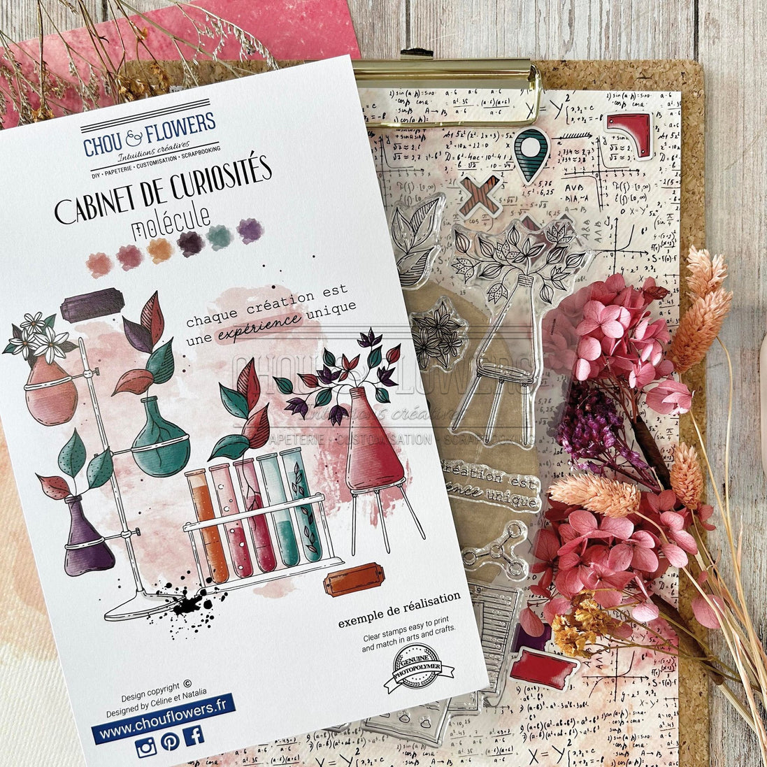 CLEAR STAMP SET - MOLECULE - CAB123 - CHOU &amp; FLOWERS