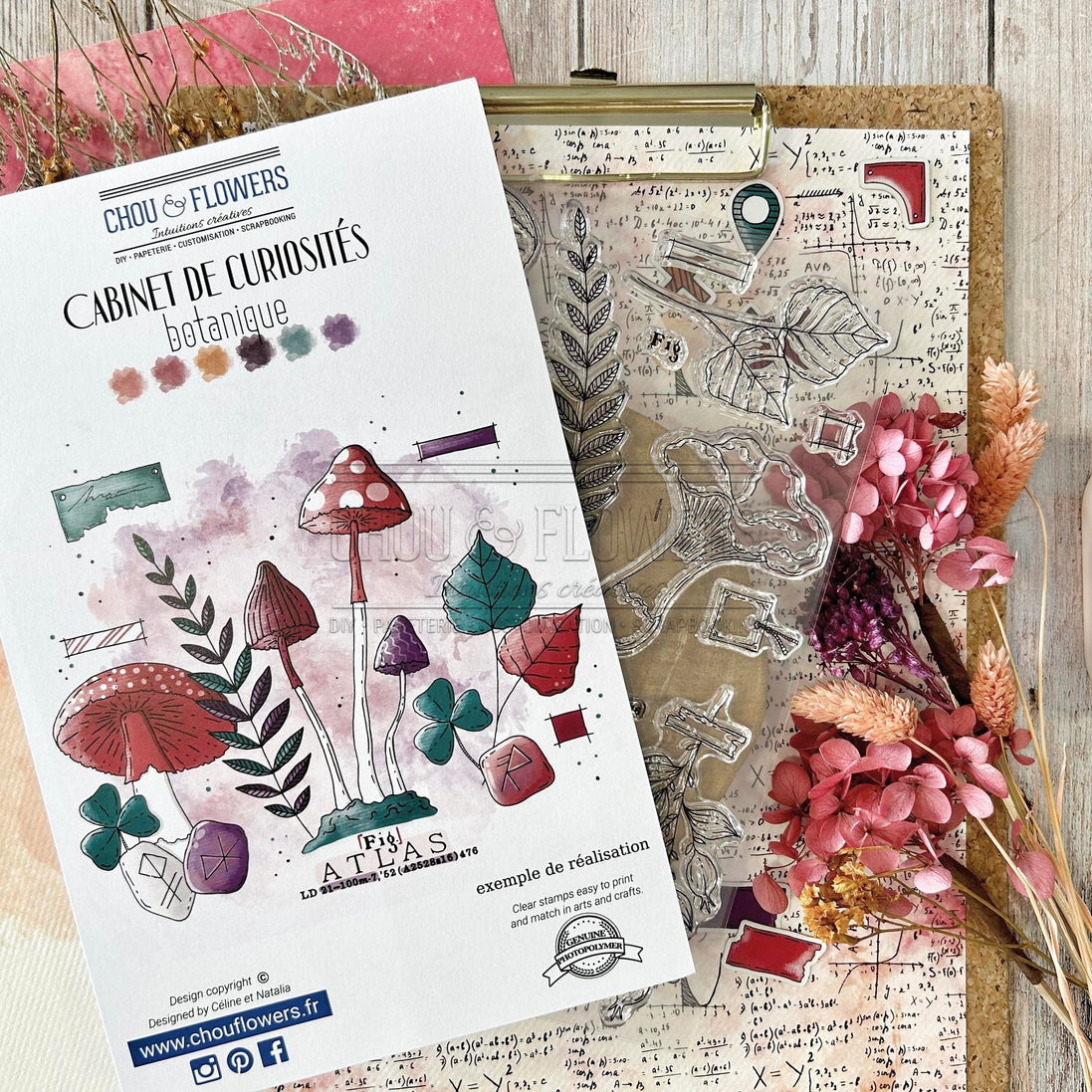 CLEAR STAMP SET - BOTANIQUE - CAB126 - CHOU &amp; FLOWERS