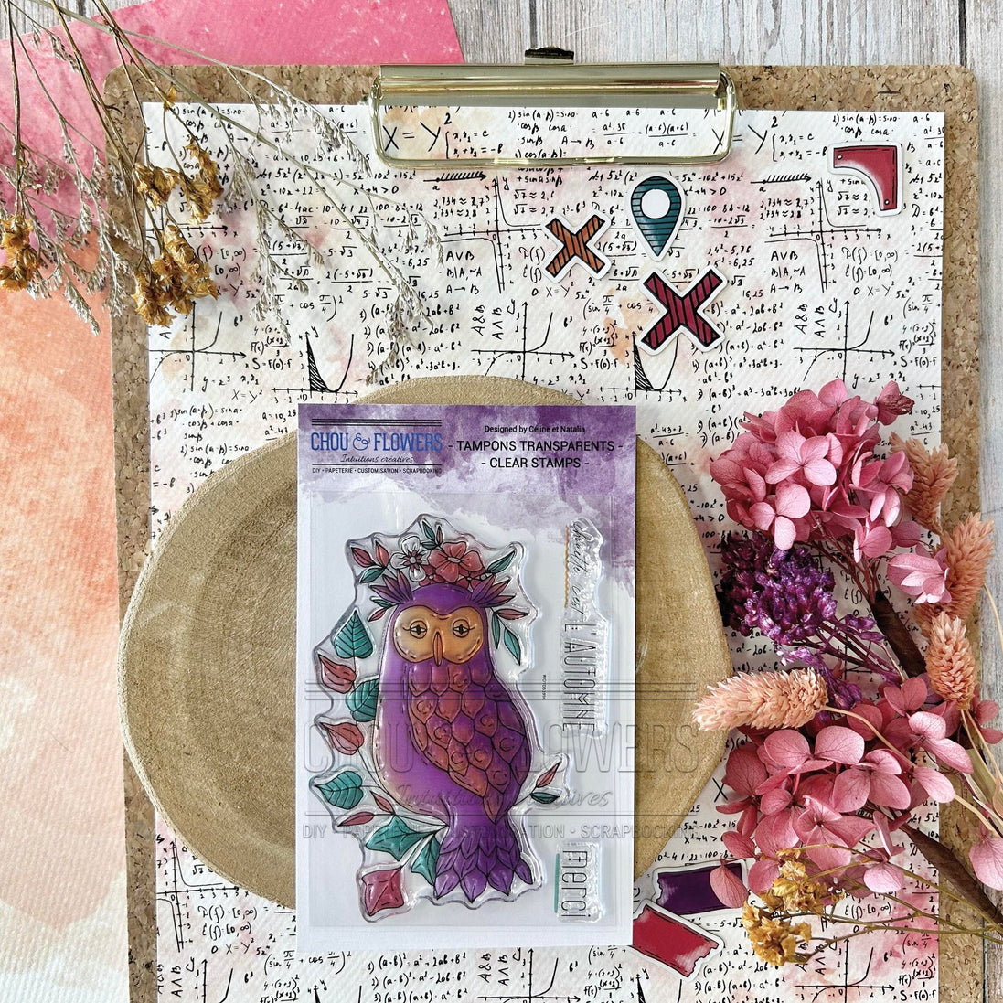 CLEAR STAMP - LA CHOUETTE - CAB128 - CHOU &amp; FLOWERS