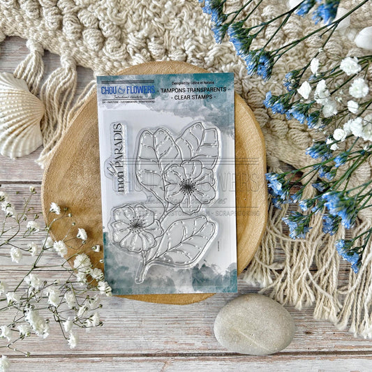 SET TIMBRI CLEAR - FLEUR DE KIWI - GLO120 - CHOU & FLOWERS