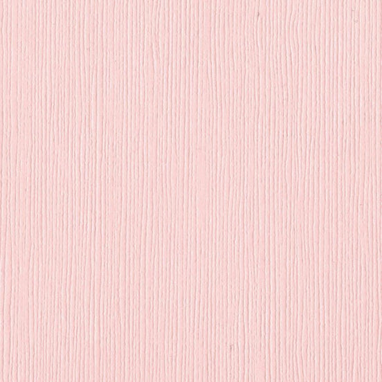 Mono Canvas Sheet PINKINI - 300935 BAZZILL