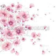 KIT Album 'Rosa 1 ' -  A.RENKE