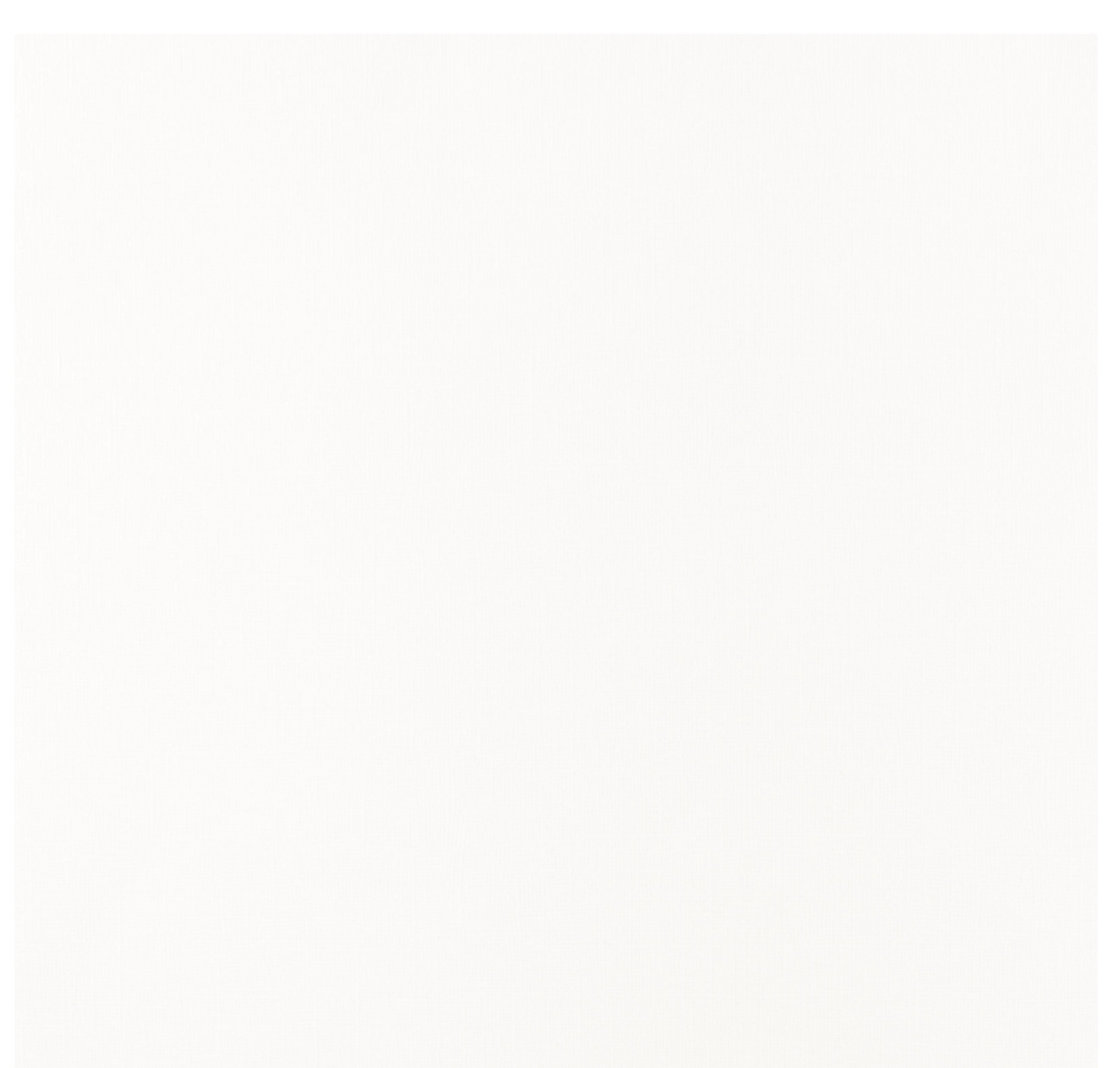 Foglio Cardstock Texture - AVORIO 2928-102 Florence