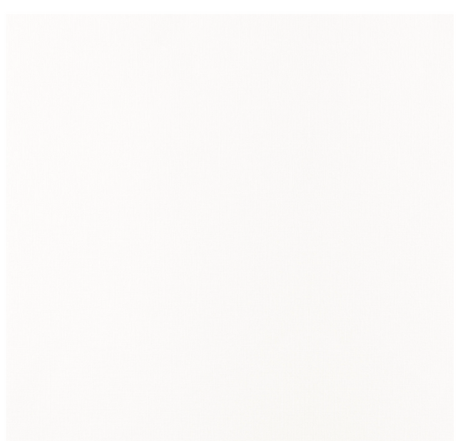 Foglio Cardstock Texture - AVORIO 2928-102 Florence