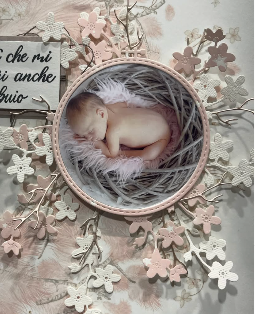 Die 'Forget-me-not' -D-AR-FL0366 - A.RENKE