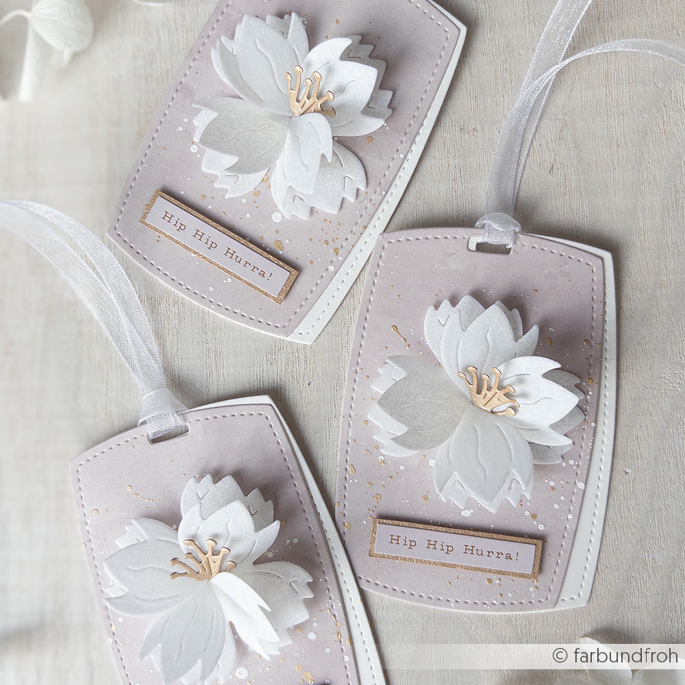 Die 'Inflated Rectangle Label' -D-AR-Ba0570 - A.RENKE