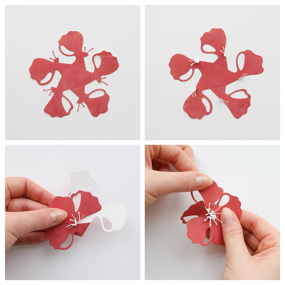 Fustella 'Folding Magic Flower 2' -D-AR-3D0165 - A.RENKE