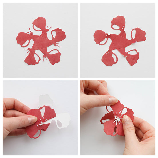 Fustella 'Folding Magic Flower 2' -D-AR-3D0165 - A.RENKE