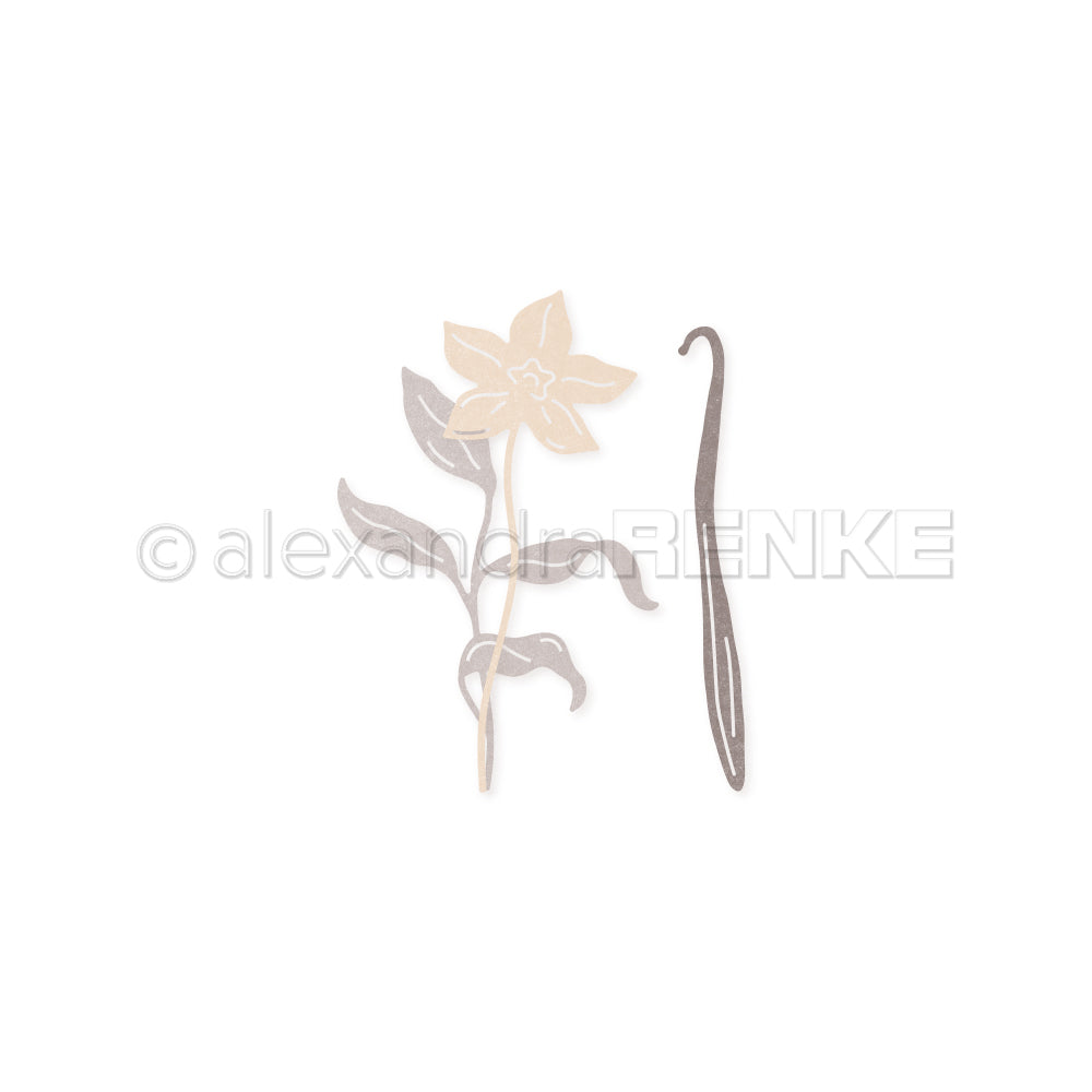 D-AR-FL0230 Set Fustelle  'Vanilla blossom set ' - A.RENKE
