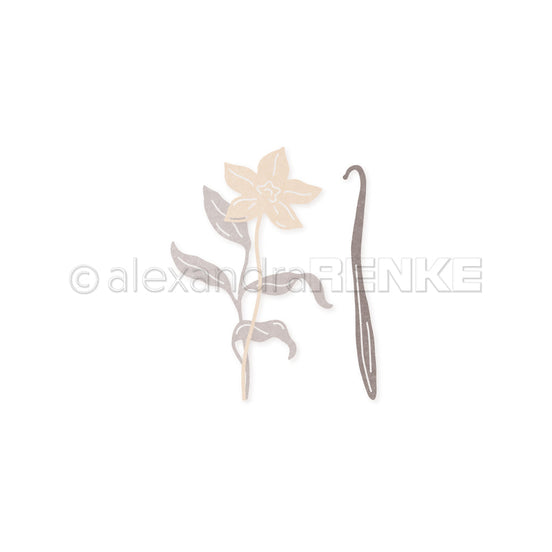 D-AR-FL0230 Set Fustelle  'Vanilla blossom set ' - A.RENKE