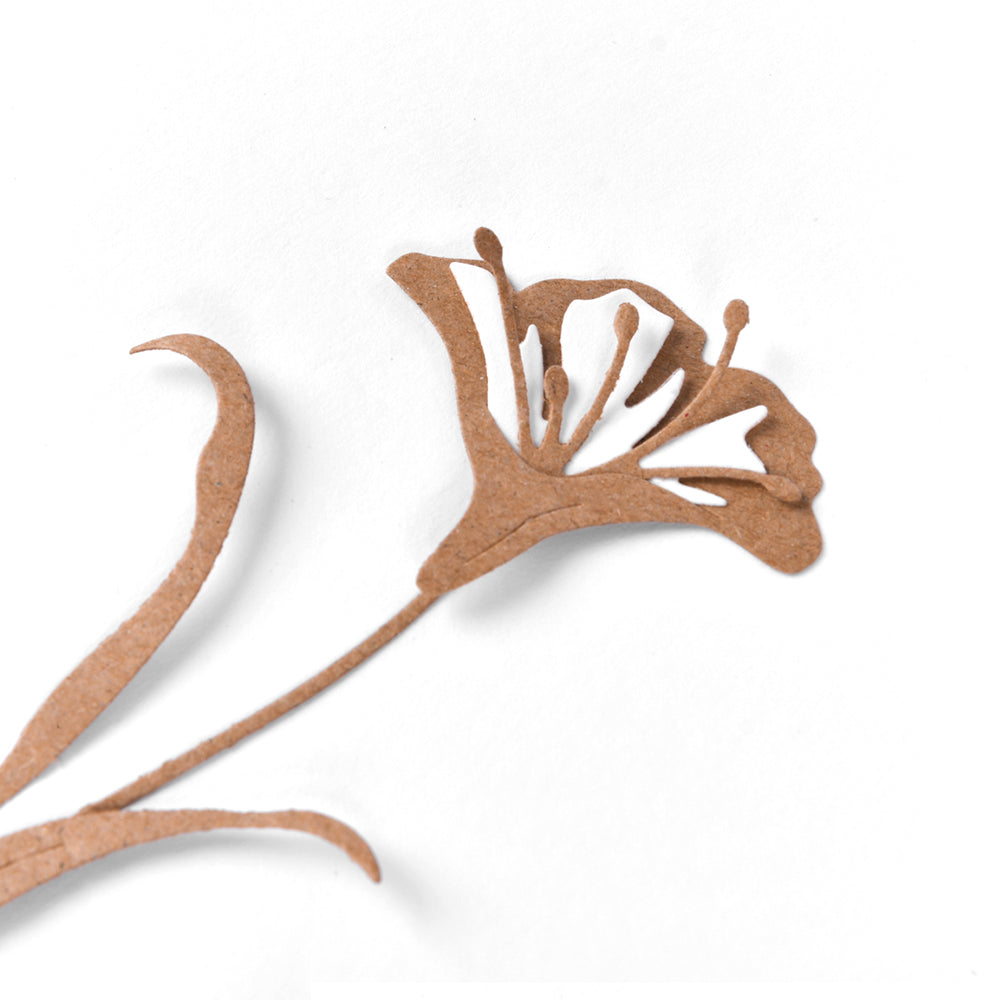 Set Fustelle  'Layered flower 13 ' -D-AR-FL0253 - A.RENKE