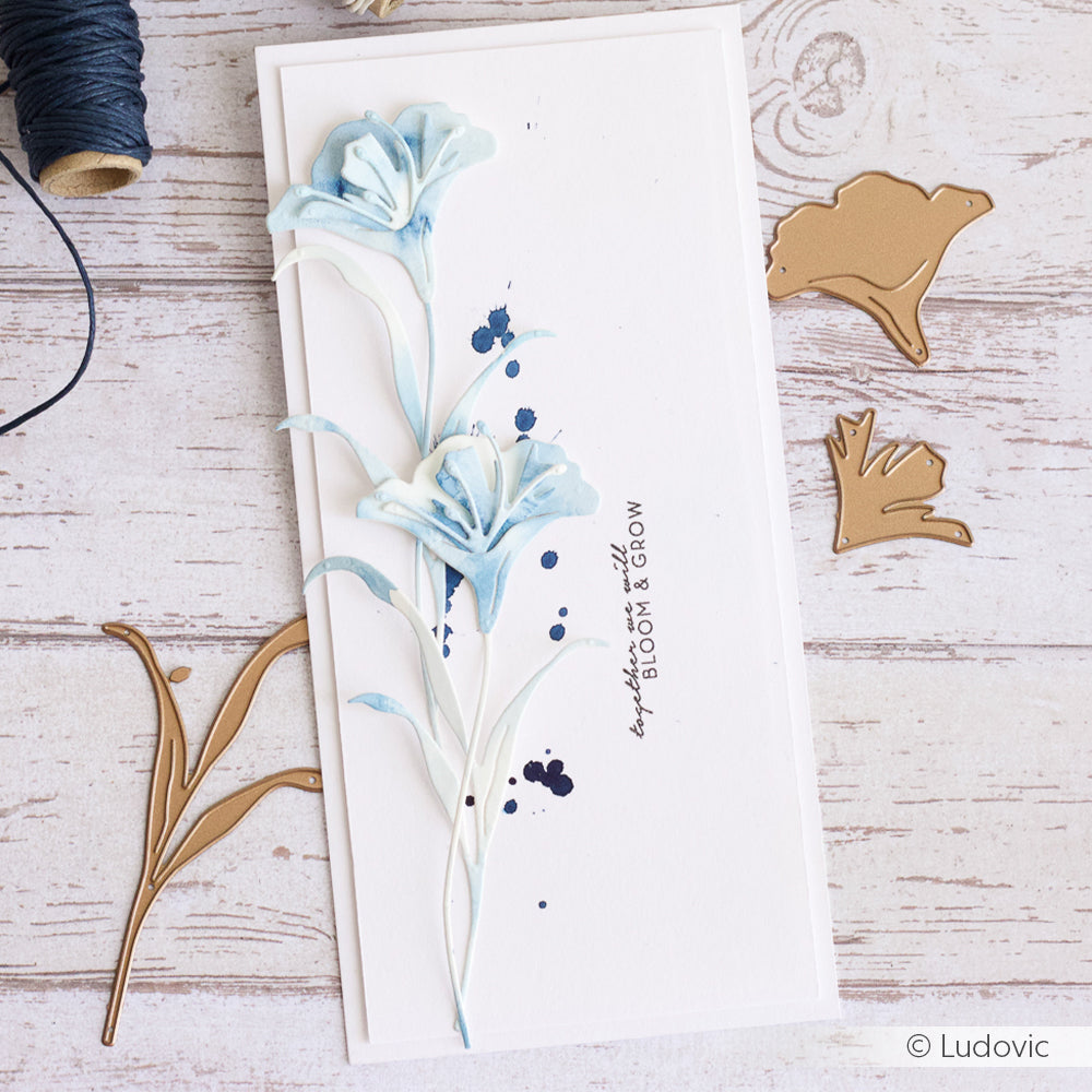 Set Fustelle  'Layered flower 13 ' -D-AR-FL0253 - A.RENKE