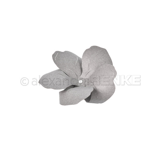 D-AR-FL0284 Set Fustelle 'Flower pinwheel-1'- A. RENKE