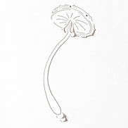 Set fustelle 'Lucky mushroom negative 2' - D-AR-FL0325 - A.RENKE