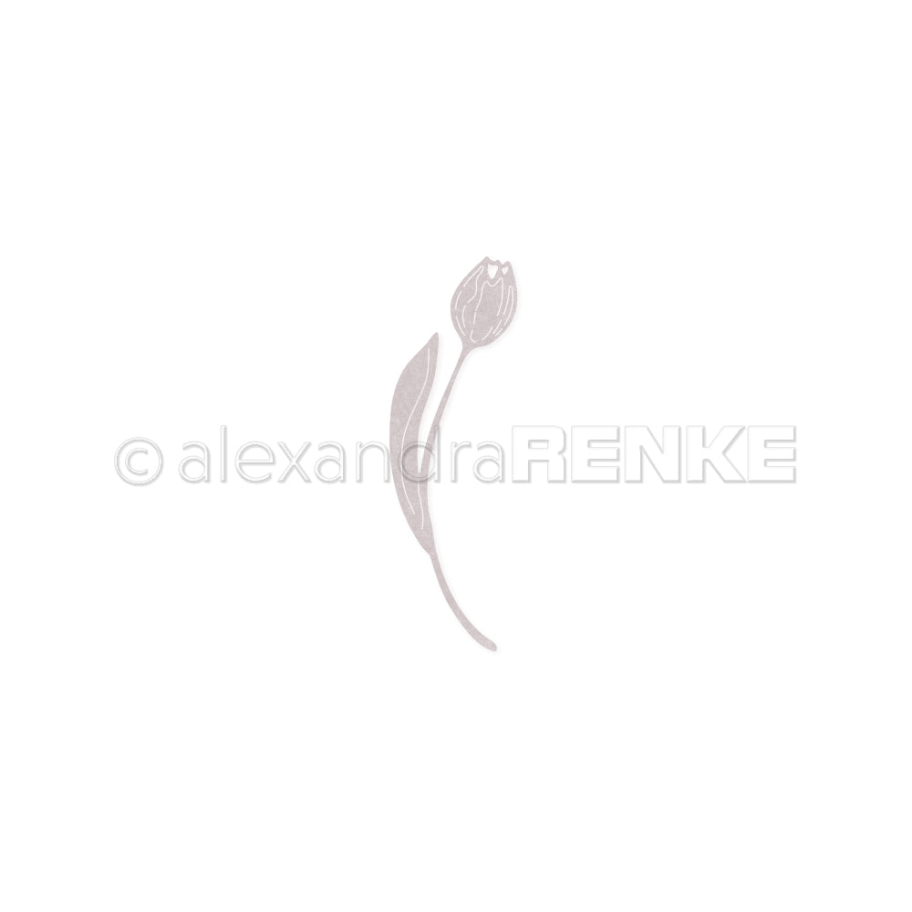 D-AR-FL0352 Fustella 'Tulip 2' - A.RENKE