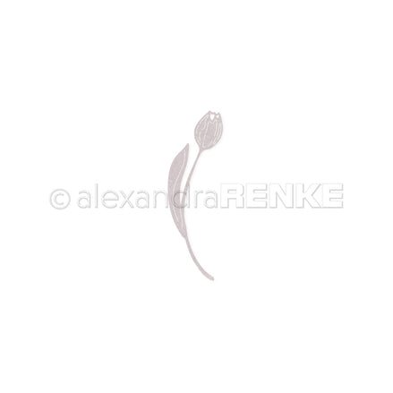 D-AR-FL0352 Fustella 'Tulip 2' - A.RENKE