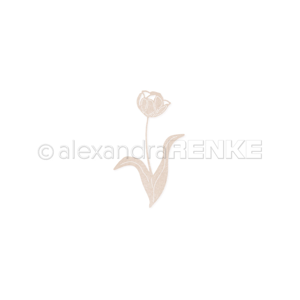 D-AR-FL0353 'Tulip 3' die - A.RENKE