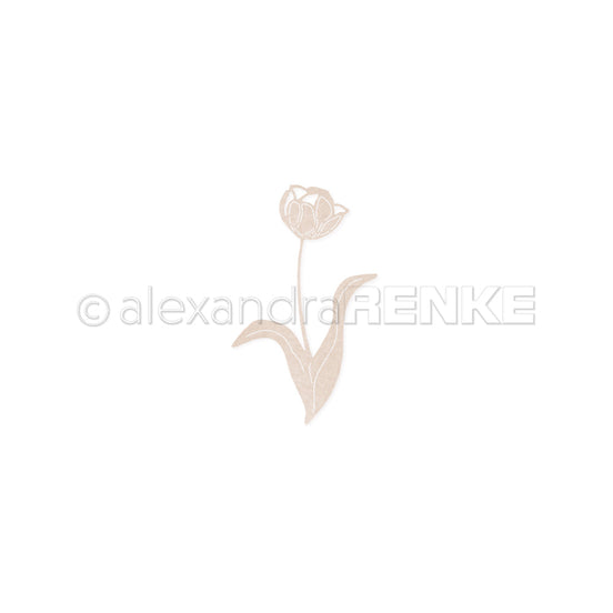 D-AR-FL0353 Fustella 'Tulip 3'- A.RENKE