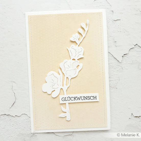 D-AR-FL0362 Fustella 'Splendid Chalice Blossom' - A.RENKE