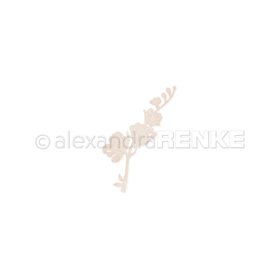 D-AR-FL0362 Fustella 'Splendid Chalice Blossom' - A.RENKE