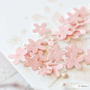 Die 'Forget-me-not' -D-AR-FL0366 - A.RENKE