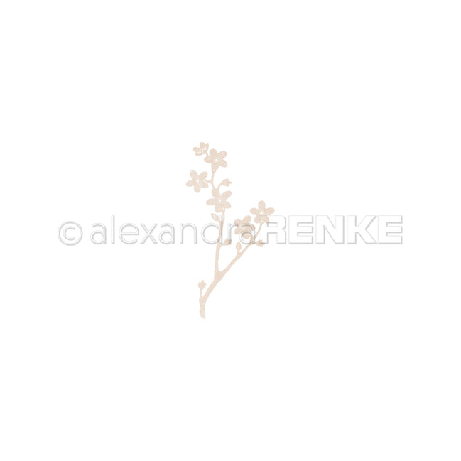 Die 'Forget-me-not' -D-AR-FL0366 - A.RENKE