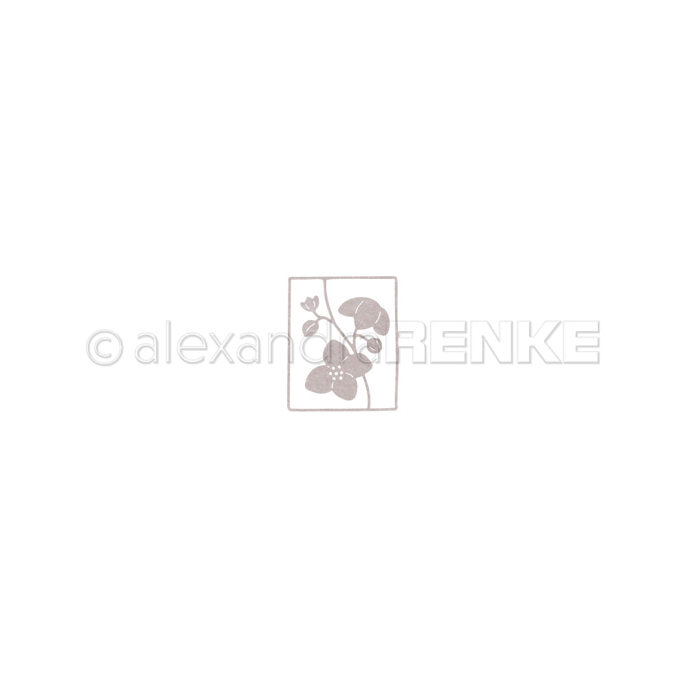 Fustella "Flower Frame" -D-AR-FL0369 - A.RENKE