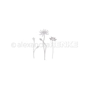 D-AR-FL0375 Set Fustelle 'Mini Cornflowers' - A.RENKE