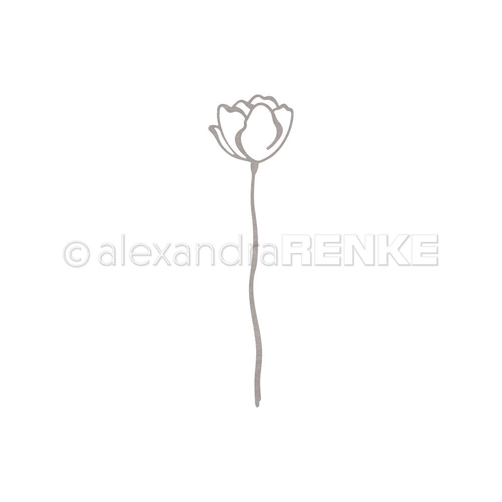 D-AR-FL0409 Fustella 'Lineart Kelchblume' - A.RENKE
