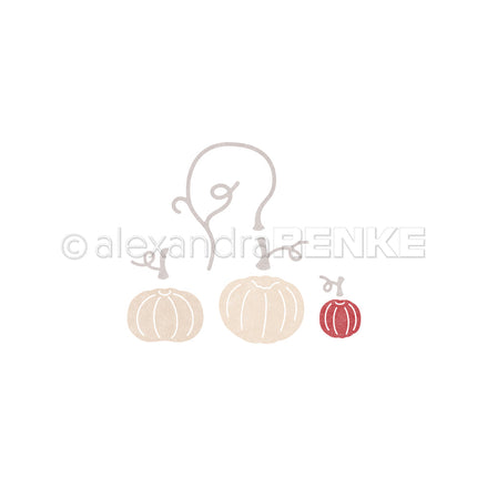 D-AR-HE0021 Set Fustelle ' Pumpkin set ' - A.RENKE