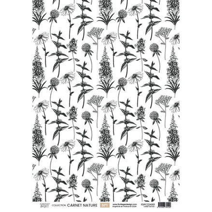 Set vellum "CARNET NATURE "  FDPC224005 - FLORILEGES DESIGN