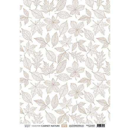 Set vellum "CARNET NATURE "  FDPC224005 - FLORILEGES DESIGN