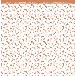 Set Carte "CARNET NATURE "  FDPI224011 - FLORILEGES DESIGN