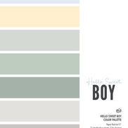 PAPER PACK COLOR PALETTE - HELLO SWEET BOY 6X12
