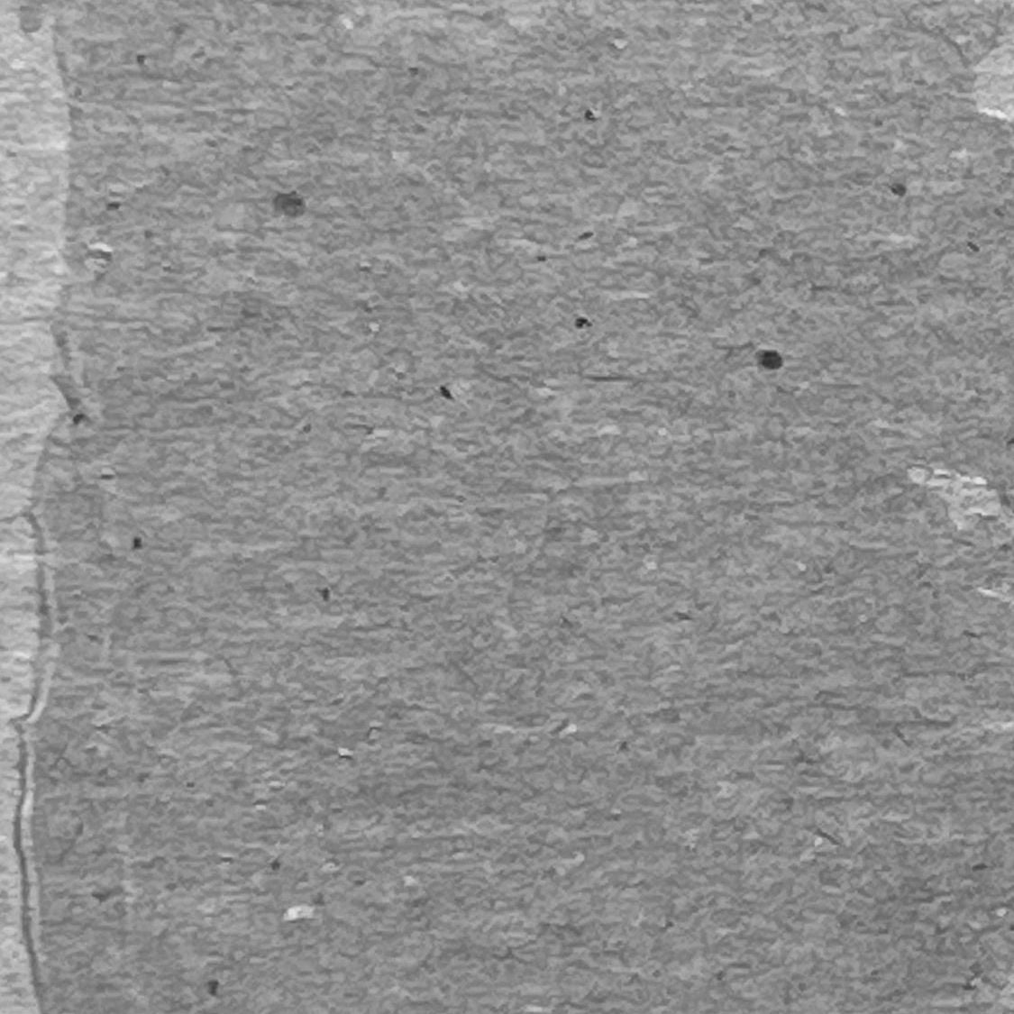 RANGER Tim Holtz - Distress Texture Paste Translucent - TDA79668