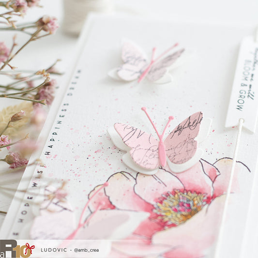 Set Fustelle  'Layered butterfly 7 ' -D-AR-Ti0083 - A.RENKE