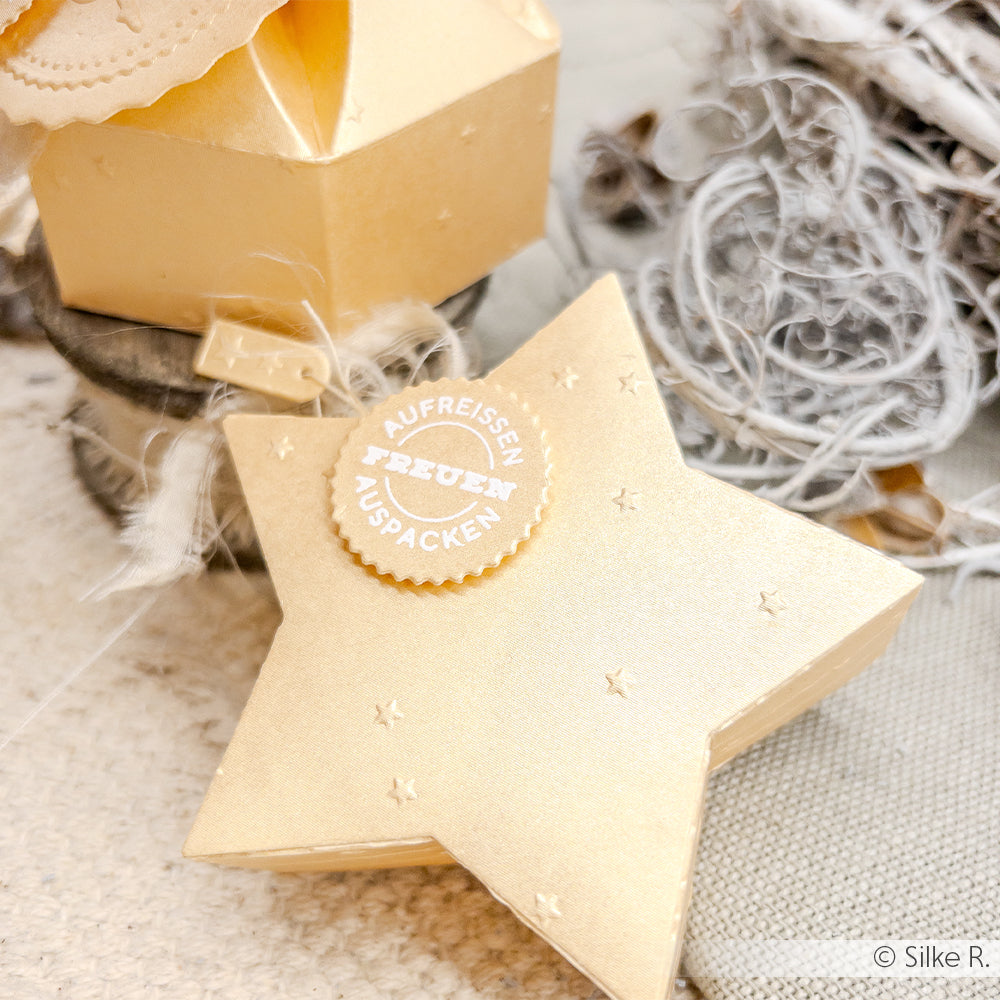 EF-AR-W0012 Embossing Folder 'Starfall' - A.RENKE